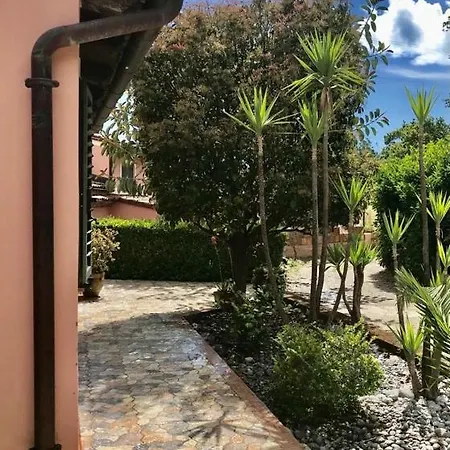 Paradiso